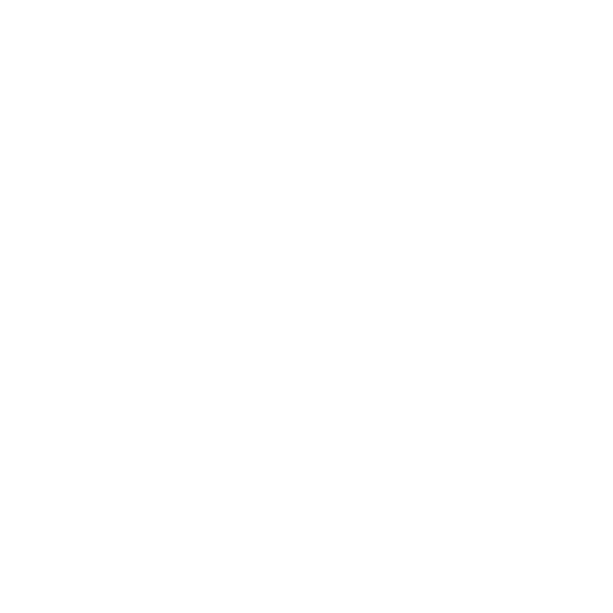 The Cheeky Camel logo